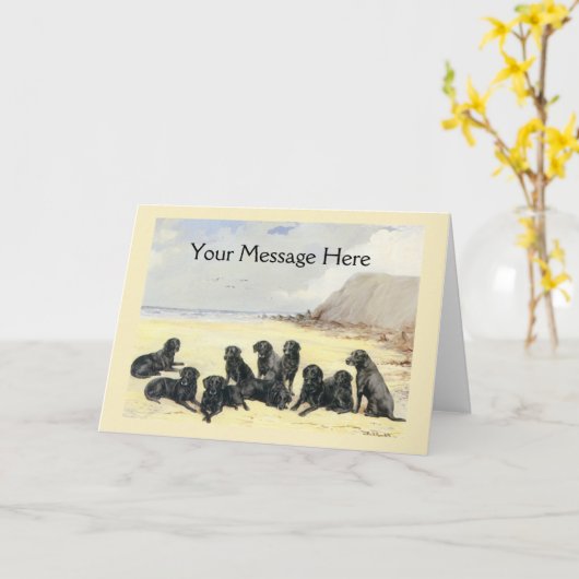 Labradors op het Wenskaart van het Strand Kaart (Gele Bloem)