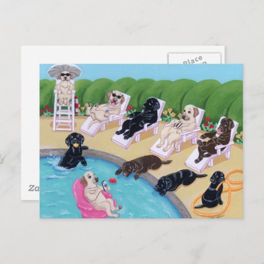 Labradors voor pools briefkaart (Voorkant / Achterkant)