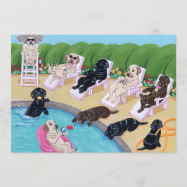 Labradors voor pools kaart