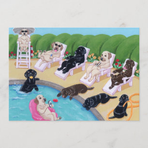 Labradors voor pools kaart