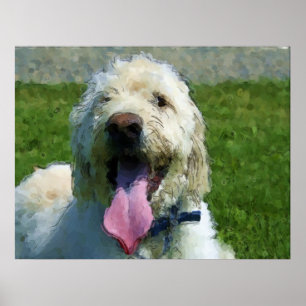 Labraedle print