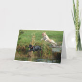 Labs Kaart (Voorkant)