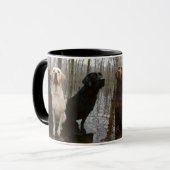 Labs Mok (Voorkant links)