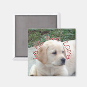 Labs zijn Liefde Magneet (Voorkant / Achterkant)