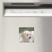 Labs zijn Liefde Magneet (Insitu (Vaatwasser))