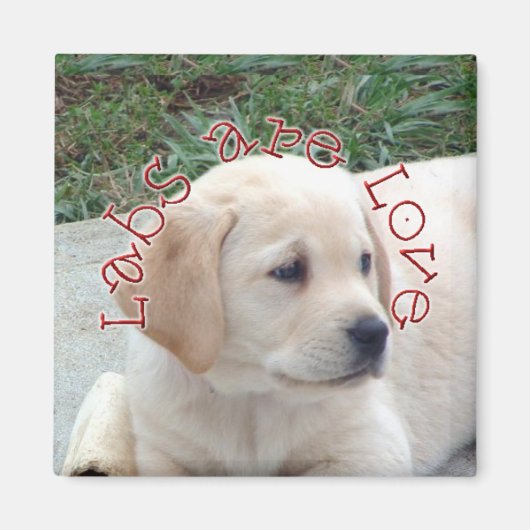 Labs zijn Liefde Magneet (Voorkant)
