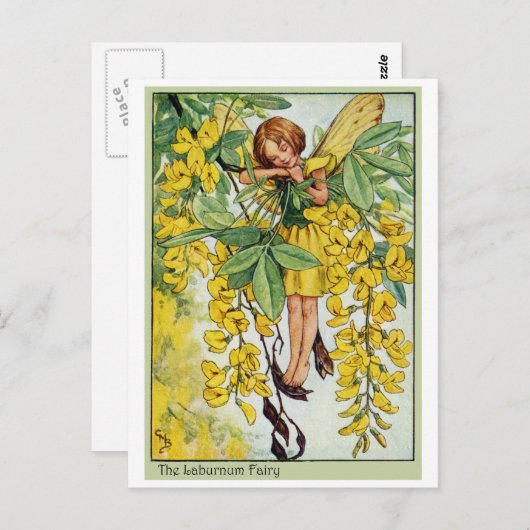 Laburnum Fairy Briefkaart (Voorkant / Achterkant)