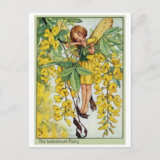 Laburnum Fairy Briefkaart (Voorkant)