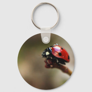 LABYBIRD SLEUTELHANGER