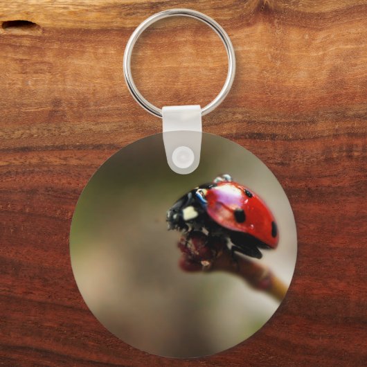 LABYBIRD SLEUTELHANGER (Voorkant)