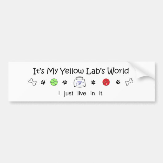 LabYellow Bumpersticker (Voorkant)