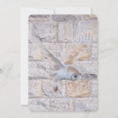 Labyrint: het is de enige eeuwige bruiloftsuil kaart (Achterkant)