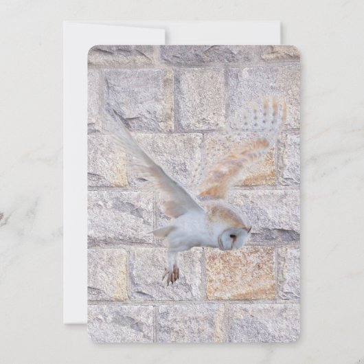 Labyrint: het is de enige eeuwige bruiloftsuil kaart (Achterkant)