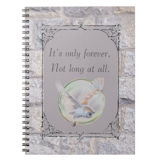 Labyrint: het is de enige eeuwige uil notitieboek (Voorkant)