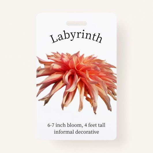 Labyrinth Dahlia ID Badge (Voorkant)