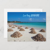 Lac bay bonaire postcard briefkaart (Voorkant / Achterkant)