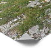 Lac Blanc Chamonix Poster (Hoek)