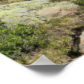 Lac de Cheserys French Alps Poster (Hoek)