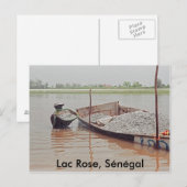 Lac Roos, Sénégal Briefkaart (Voorkant / Achterkant)