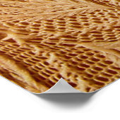 lace fabric-texturen poster (Hoek)