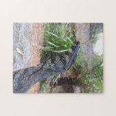 Lace Monitor Puzzle Legpuzzel (Horizontaal)