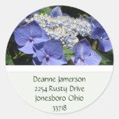 Lace Pet Hydrangea Adres Stickers (Voorkant)