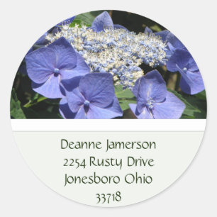 Lace Pet Hydrangea Adres Stickers