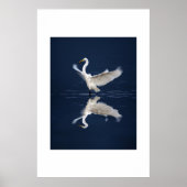 Lace Wings op Blue Poster (Voorkant)