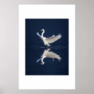 Lace Wings op Blue Poster