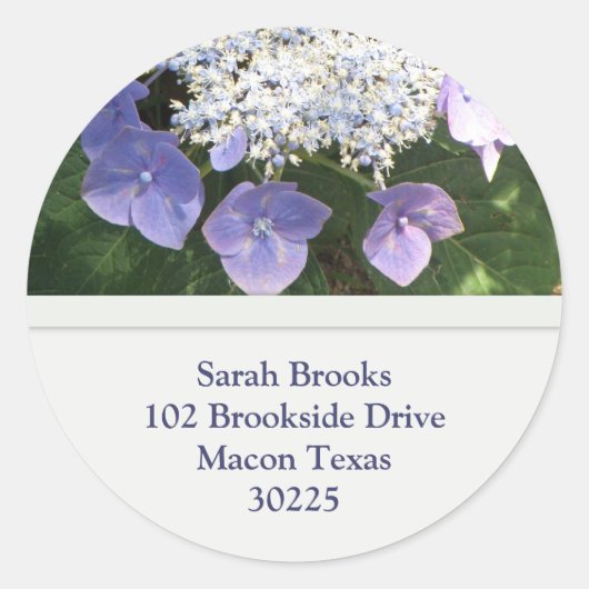 Lacecap Hydrangea Adres Stickers (Voorkant)