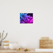 Lacecap Hydrangea bloem zwart en wit gekleurd Poster (Keuken)