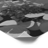 Lacecap Hydrangea bloem zwart en wit Poster (Hoek)