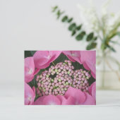 Lacecap Hydrangea Briefkaart (Staand voorkant)
