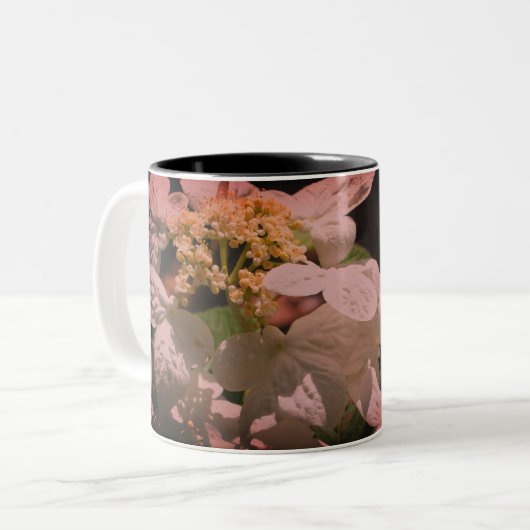 Lacecap Hydrangea Vloer, gepersonaliseerd Tweekleurige Koffiemok (Voorkant links)