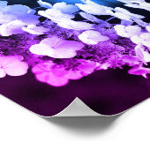 Lacecap Hydrangea Zwart-wit Abstract getint Poster (Hoek)