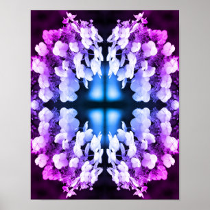 Lacecap Hydrangea Zwart-wit Abstract getint Poster