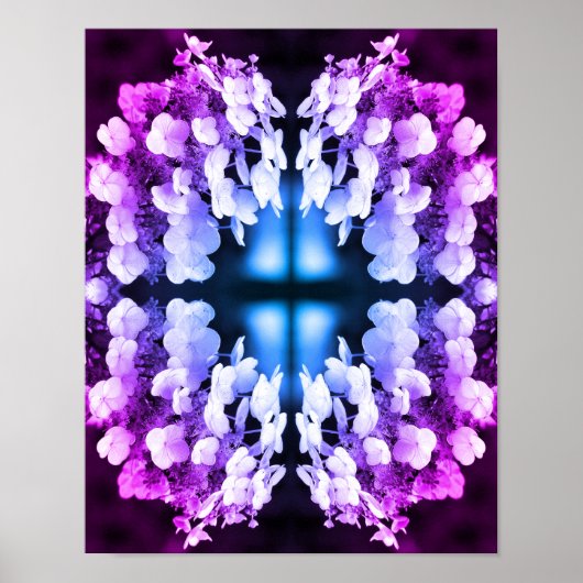Lacecap Hydrangea Zwart-wit Abstract getint Poster (Voorkant)
