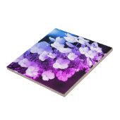 Lacecap Hydrangea zwart-wit kleurtoon Tegeltje (Zijkant)