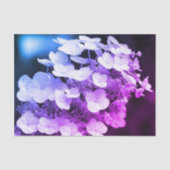 Lacecap Hydrangea zwart-wit ontkoppelingspagina Tissuepapier (Voorkant)