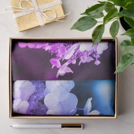 Lacecap Hydrangea zwart-wit ontkoppelingspagina Tissuepapier (Geschenk)