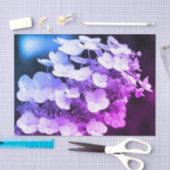 Lacecap Hydrangea zwart-wit ontkoppelingspagina Tissuepapier (Craft)