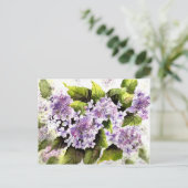 Lacecap Hydrangeas Briefkaart (Staand voorkant)