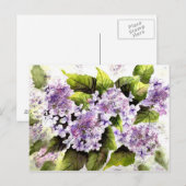 Lacecap Hydrangeas Briefkaart (Voorkant / Achterkant)