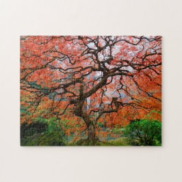 Laceleaf Maple op Foggy Autumn Morning in Portland Legpuzzel