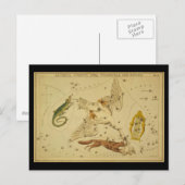 Lacerta, Cygnus, Lyra, Vulpecula en Anser Briefkaart (Voorkant / Achterkant)
