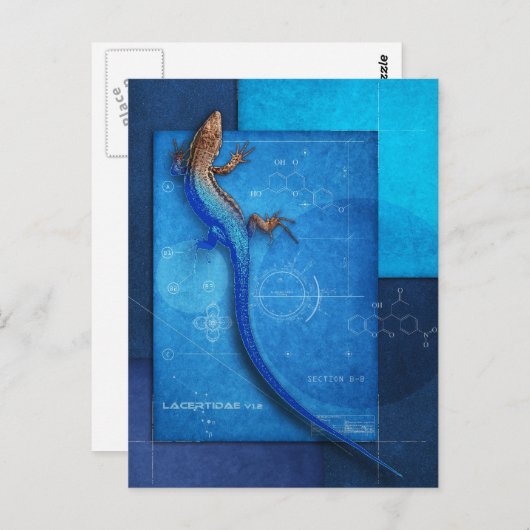 Lacertidae v1.2 briefkaart (Voorkant / Achterkant)