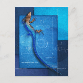 Lacertidae v1.2 briefkaart