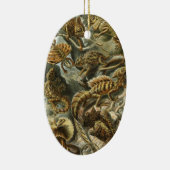 Lacertilia door Ernst Haeckel  hagedieren Keramisch Ornament (Rechts)