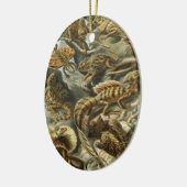 Lacertilia door Ernst Haeckel hagedieren Keramisch Ornament (Links)