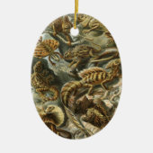 Lacertilia door Ernst Haeckel hagedieren Keramisch Ornament (Voorkant)